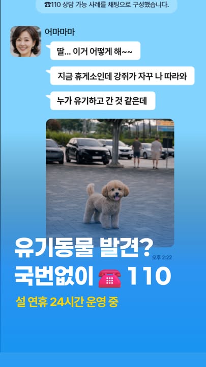 설 명절에 보호자가 없는
유기동물 만났다면?
검색 말고 ☎️110
전국 어디서나 국민콜 110

설 연휴 기간 2월 16일~18일에도
24시간 정상 운영합니다.

🚗 무단 주·정차 단속 및 통행 불편 신고 문의
🛣️ 도로별·구간별 정체 구간 및 소요 시간 문의
🏥 연휴 기간 중 운영 의료기관(병원·약국)
🔊🔥 생활 소음 및 쓰레기 소각 신고
🐶🐱 유기·유실 동물 보호 관련 문의

생활 속 궁금증을 한 번에 해결하세요.

전국 어디서나 국번 없이 110 ☎️

#설연휴도함께 #궁금하면110 #국민콜 #연휴필수정보 #생활꿀팁 #연휴안내 #민원해결 #전화한통